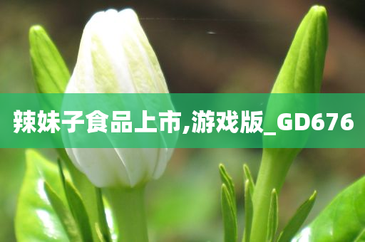 辣妹子食品上市,游戏版_GD676