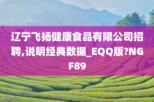 辽宁飞扬健康食品有限公司招聘,说明经典数据_EQQ版?NGF89