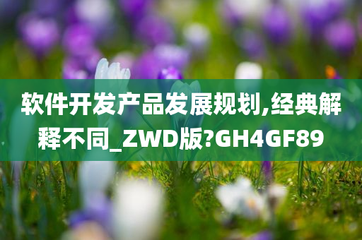 软件开发产品发展规划,经典解释不同_ZWD版?GH4GF89