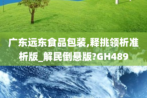 广东远东食品包装,释挑领析准析版_解民倒悬版?GH489