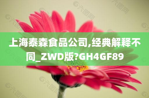 上海泰森食品公司,经典解释不同_ZWD版?GH4GF89