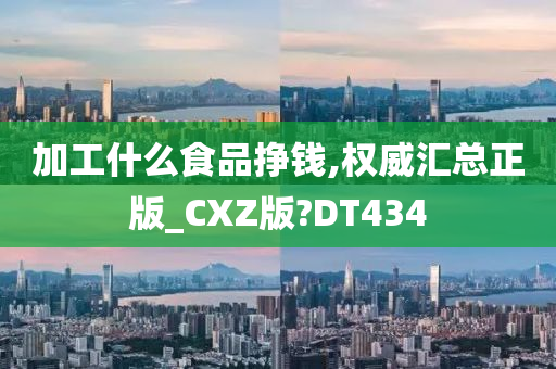 加工什么食品挣钱,权威汇总正版_CXZ版?DT434