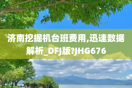 济南挖掘机台班费用,迅速数据解析_DFJ版?JHG676