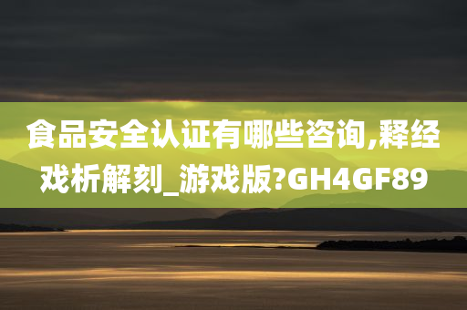 食品安全认证有哪些咨询,释经戏析解刻_游戏版?GH4GF89