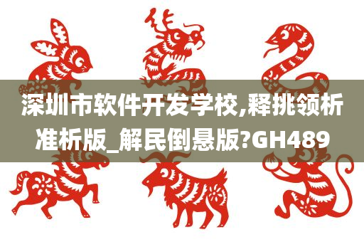 深圳市软件开发学校,释挑领析准析版_解民倒悬版?GH489