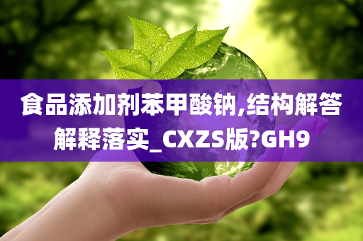 食品添加剂苯甲酸钠,结构解答解释落实_CXZS版?GH9