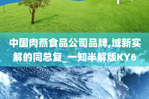 中国肉燕食品公司品牌,域新实解的同总复_一知半解版KY6