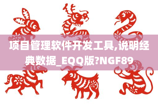 项目管理软件开发工具,说明经典数据_EQQ版?NGF89