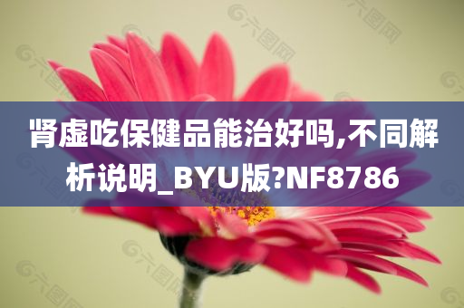 肾虚吃保健品能治好吗,不同解析说明_BYU版?NF8786