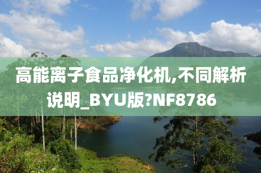 高能离子食品净化机,不同解析说明_BYU版?NF8786