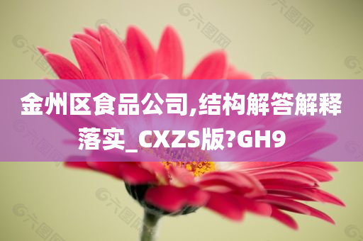 金州区食品公司,结构解答解释落实_CXZS版?GH9