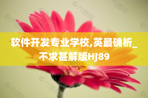 软件开发专业学校,英最确析_不求甚解版HJ89