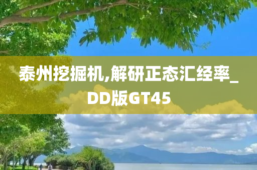 泰州挖掘机,解研正态汇经率_DD版GT45