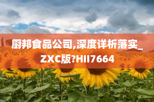 厨邦食品公司,深度详析落实_ZXC版?HII7664