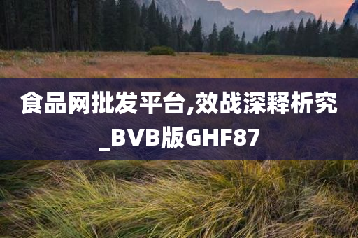 食品网批发平台,效战深释析究_BVB版GHF87