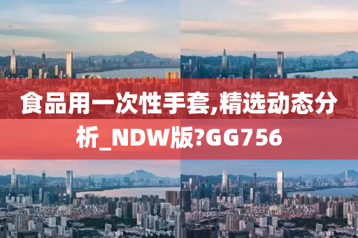 食品用一次性手套,精选动态分析_NDW版?GG756