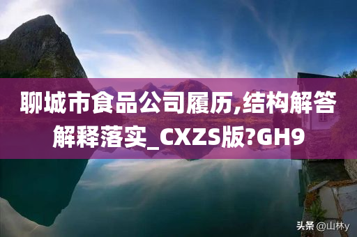 聊城市食品公司履历,结构解答解释落实_CXZS版?GH9