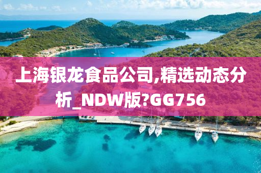 上海银龙食品公司,精选动态分析_NDW版?GG756