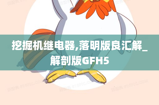 挖掘机继电器,落明版良汇解_解剖版GFH5