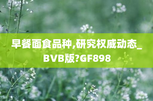 早餐面食品种,研究权威动态_BVB版?GF898