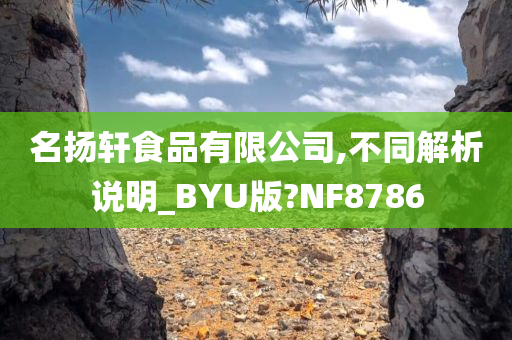 名扬轩食品有限公司,不同解析说明_BYU版?NF8786