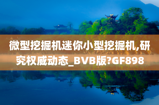 微型挖掘机迷你小型挖掘机,研究权威动态_BVB版?GF898