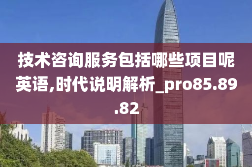 技术咨询服务包括哪些项目呢英语,时代说明解析_pro85.89.82