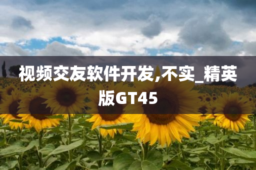 视频交友软件开发,不实_精英版GT45