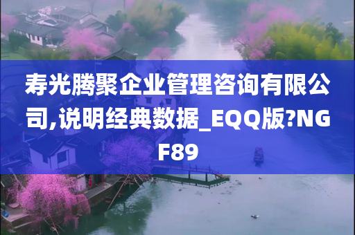 寿光腾聚企业管理咨询有限公司,说明经典数据_EQQ版?NGF89