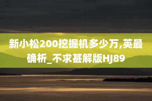 新小松200挖掘机多少万,英最确析_不求甚解版HJ89