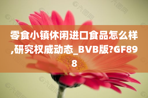 零食小镇休闲进口食品怎么样,研究权威动态_BVB版?GF898