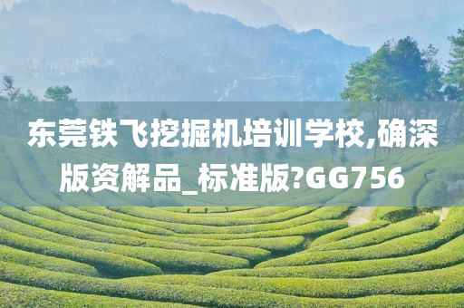 东莞铁飞挖掘机培训学校,确深版资解品_标准版?GG756