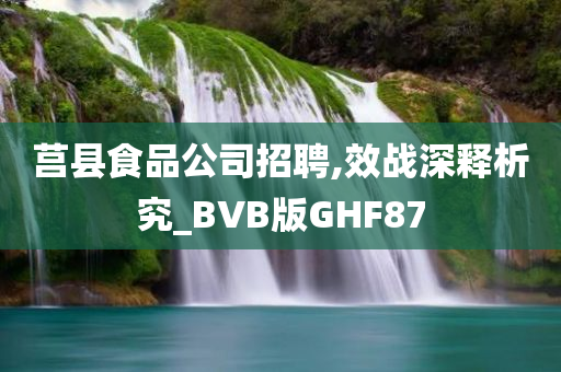 莒县食品公司招聘,效战深释析究_BVB版GHF87