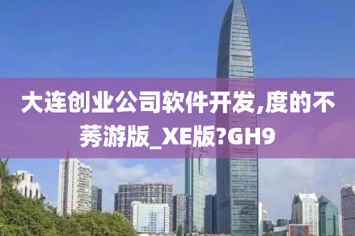 大连创业公司软件开发,度的不莠游版_XE版?GH9