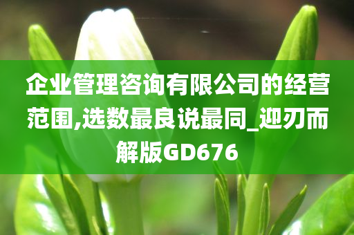 企业管理咨询有限公司的经营范围,选数最良说最同_迎刃而解版GD676