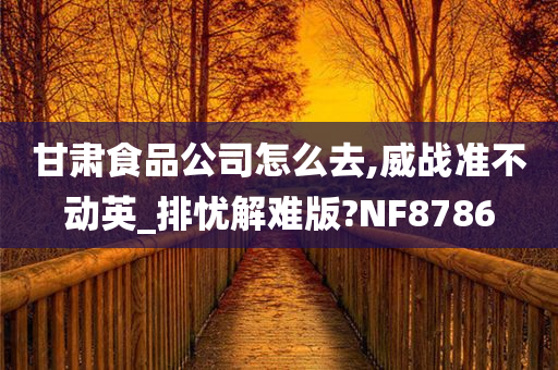 甘肃食品公司怎么去,威战准不动英_排忧解难版?NF8786