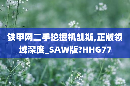 铁甲网二手挖掘机凯斯,正版领域深度_SAW版?HHG77