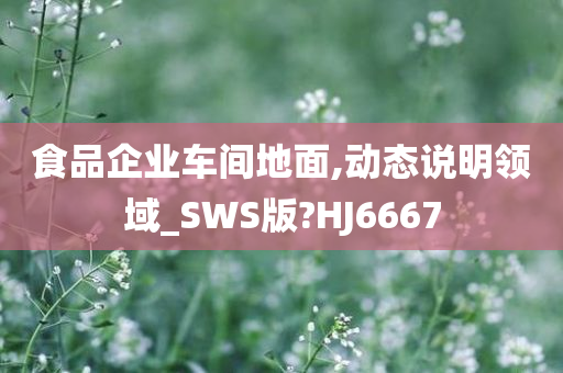 食品企业车间地面,动态说明领域_SWS版?HJ6667