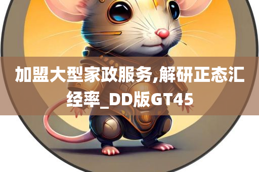 加盟大型家政服务,解研正态汇经率_DD版GT45