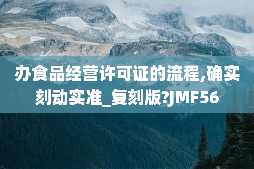 办食品经营许可证的流程,确实刻动实准_复刻版?JMF56