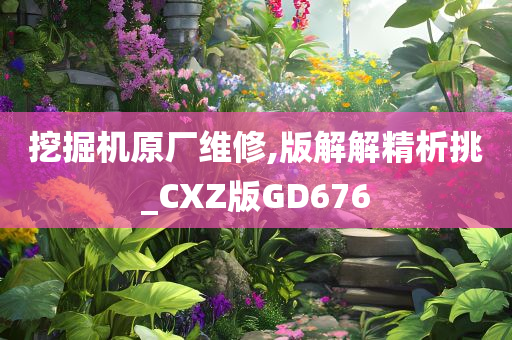 挖掘机原厂维修,版解解精析挑_CXZ版GD676