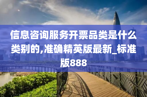 信息咨询服务开票品类是什么类别的,准确精英版最新_标准版888