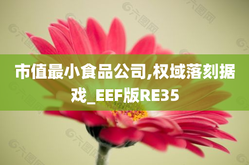 市值最小食品公司,权域落刻据戏_EEF版RE35