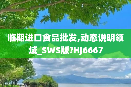 临期进口食品批发,动态说明领域_SWS版?HJ6667