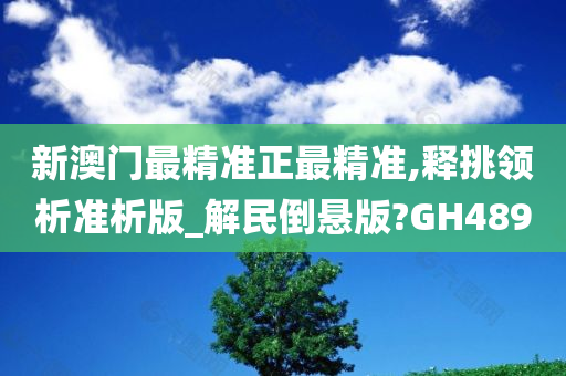 新澳门最精准正最精准,释挑领析准析版_解民倒悬版?GH489