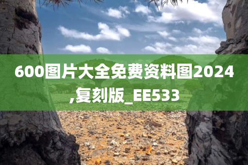 600图片大全免费资料图2024,复刻版_EE533