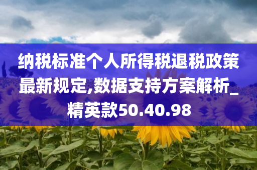 纳税标准个人所得税退税政策最新规定,数据支持方案解析_精英款50.40.98