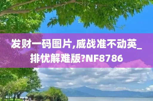 发财一码图片,威战准不动英_排忧解难版?NF8786