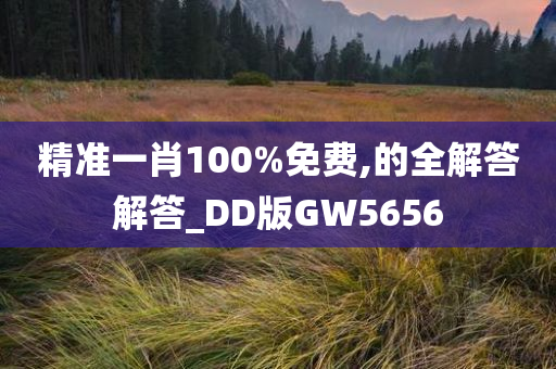 精准一肖100%免费,的全解答解答_DD版GW5656