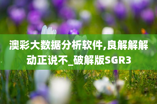 澳彩大数据分析软件,良解解解动正说不_破解版SGR3